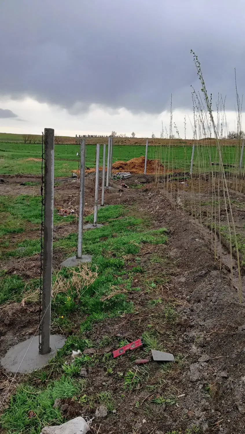 بنایی|خدمات پیشه و مهارت|سقز, |دیوار