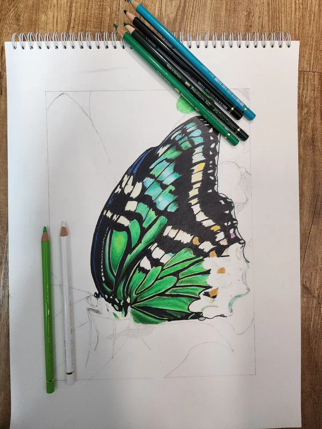 آموزش حرفهای رنگروغن و مداد رنگی، آنلاین و حضوری|خدمات آموزشی|تهران, فردوسی|دیوار