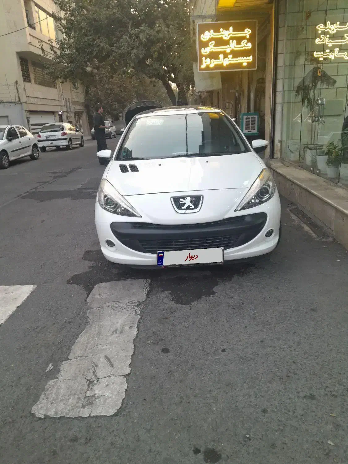 ۲۰۷ پانا مدل ۱۴۰۱|خودرو سواری و وانت|تهران, ائمه اطهار|دیوار