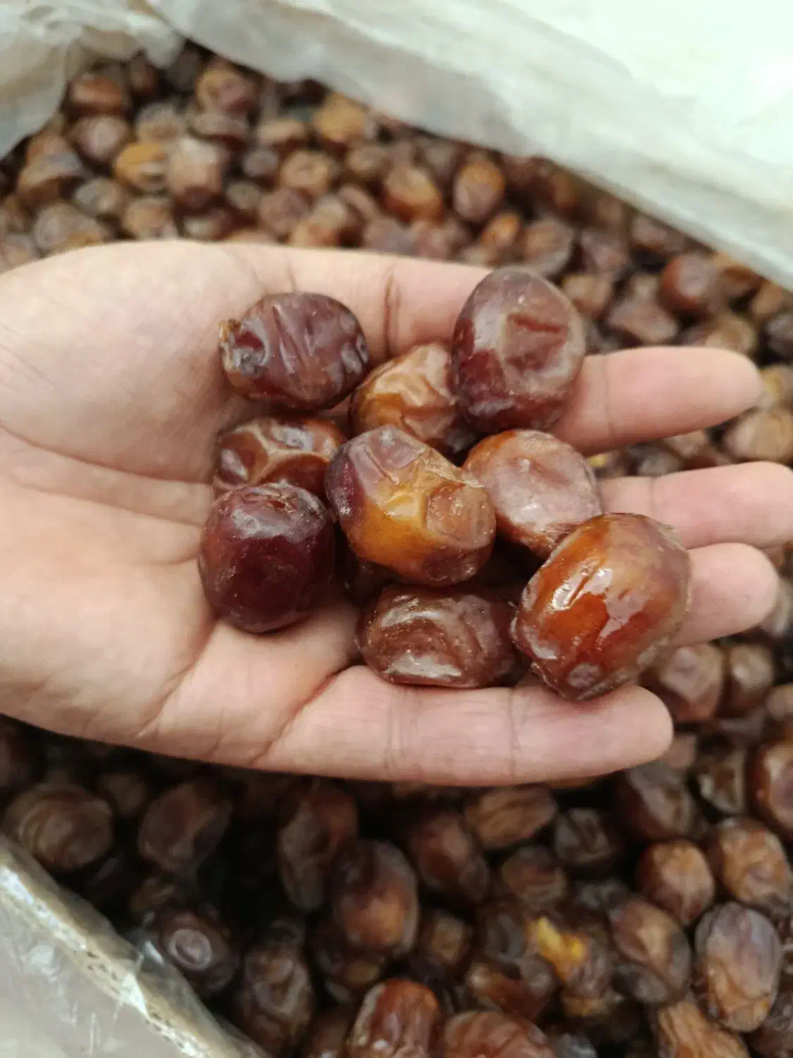 خرما خاصویی فارس|خوردنی و آشامیدنی|قم, بوستان علوی|دیوار