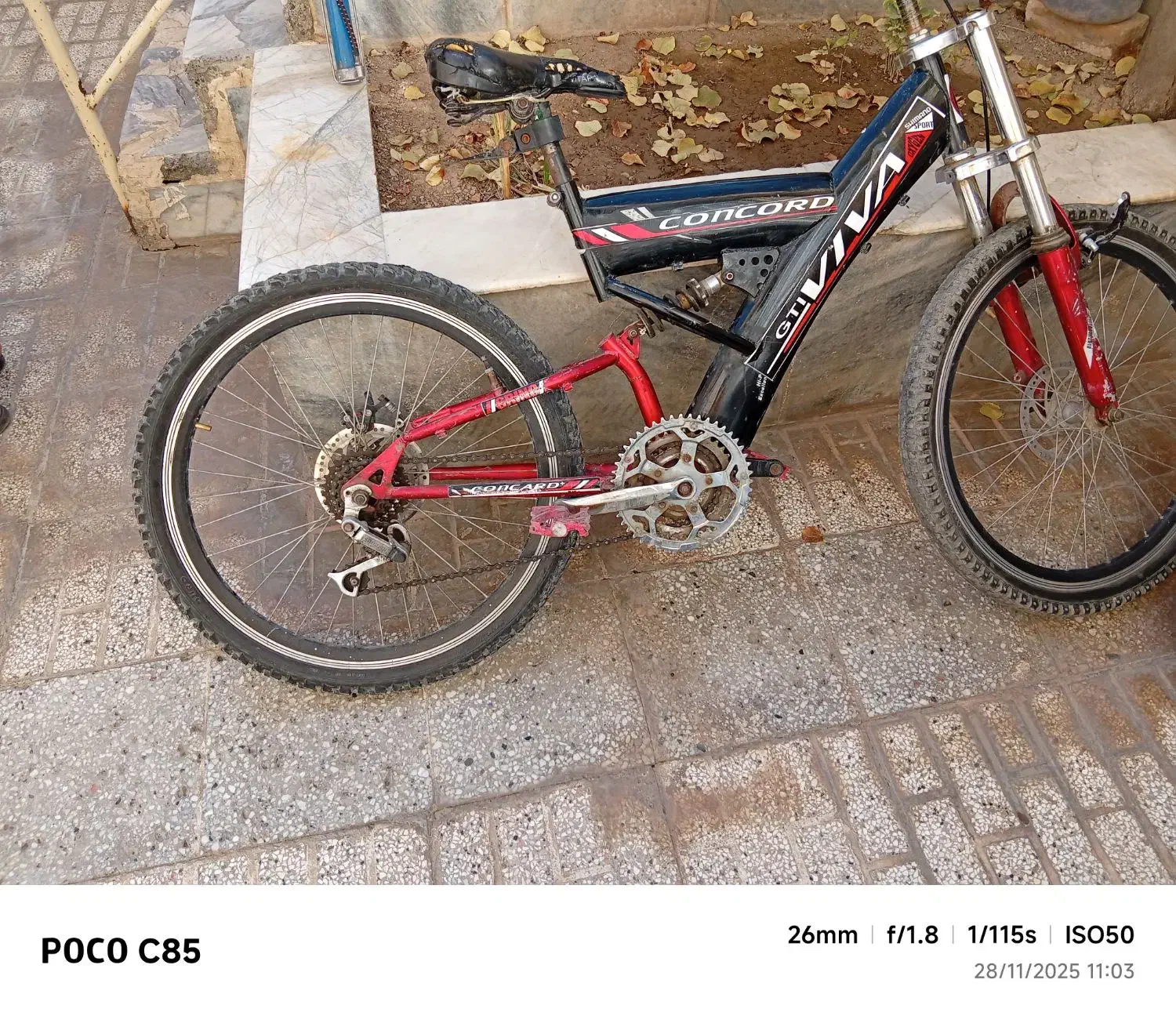 دوچرخه|دوچرخه، اسکیت، اسکوتر|تربت‌حیدریه, منصوریه|دیوار