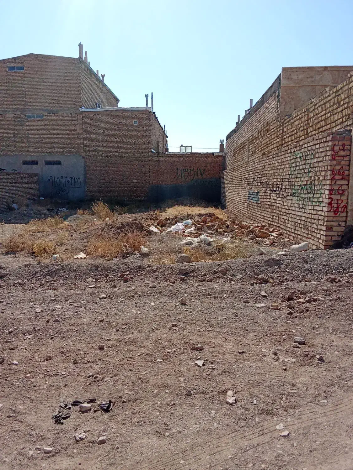 زمین فروشی جنوبی ۱۳۰ متر|فروش زمین و ملک کلنگی|تربتحیدریه, شهرک ولیعصر|دیوار