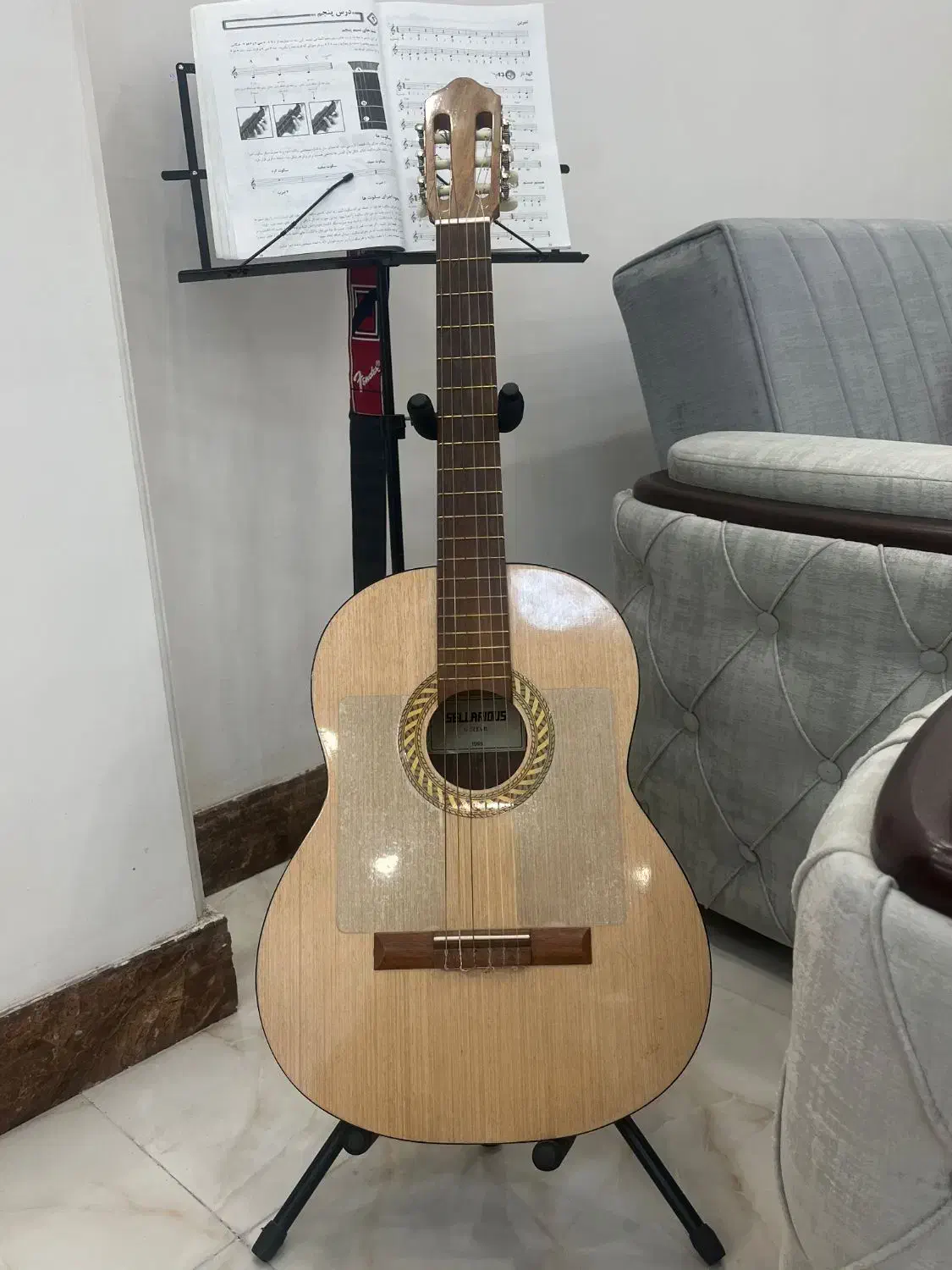 گیتار کلاسیک سلاریوس|گیتار، بیس، امپلیفایر|کرمان, |دیوار