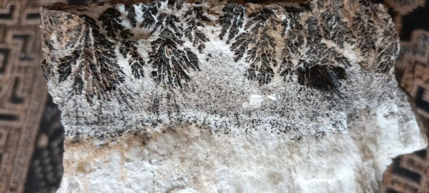 سلامفروشسنگشجر|جواهرات|بردسیر, |دیوار