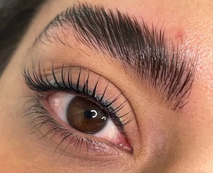 مژه|کلکسیون و سرگرمی|سبزوار, کاشفی شمالی (دادگستری)|دیوار