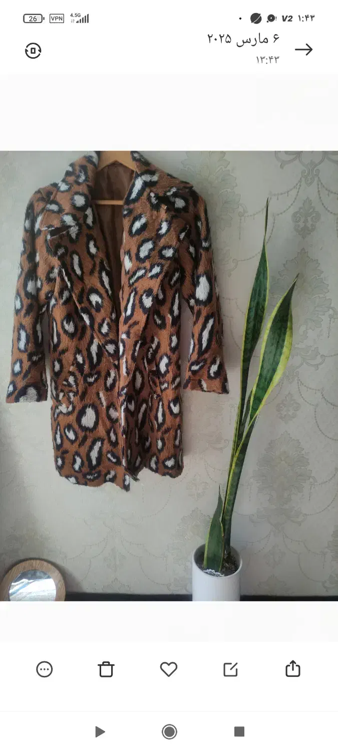 پالتووبارانی|لباس|اردبیل, |دیوار