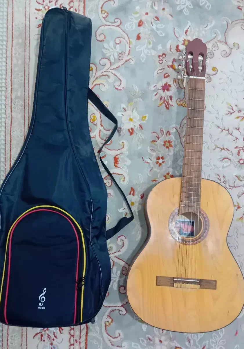 گیتار|گیتار، بیس، امپلیفایر|فردیس, فردیس|دیوار