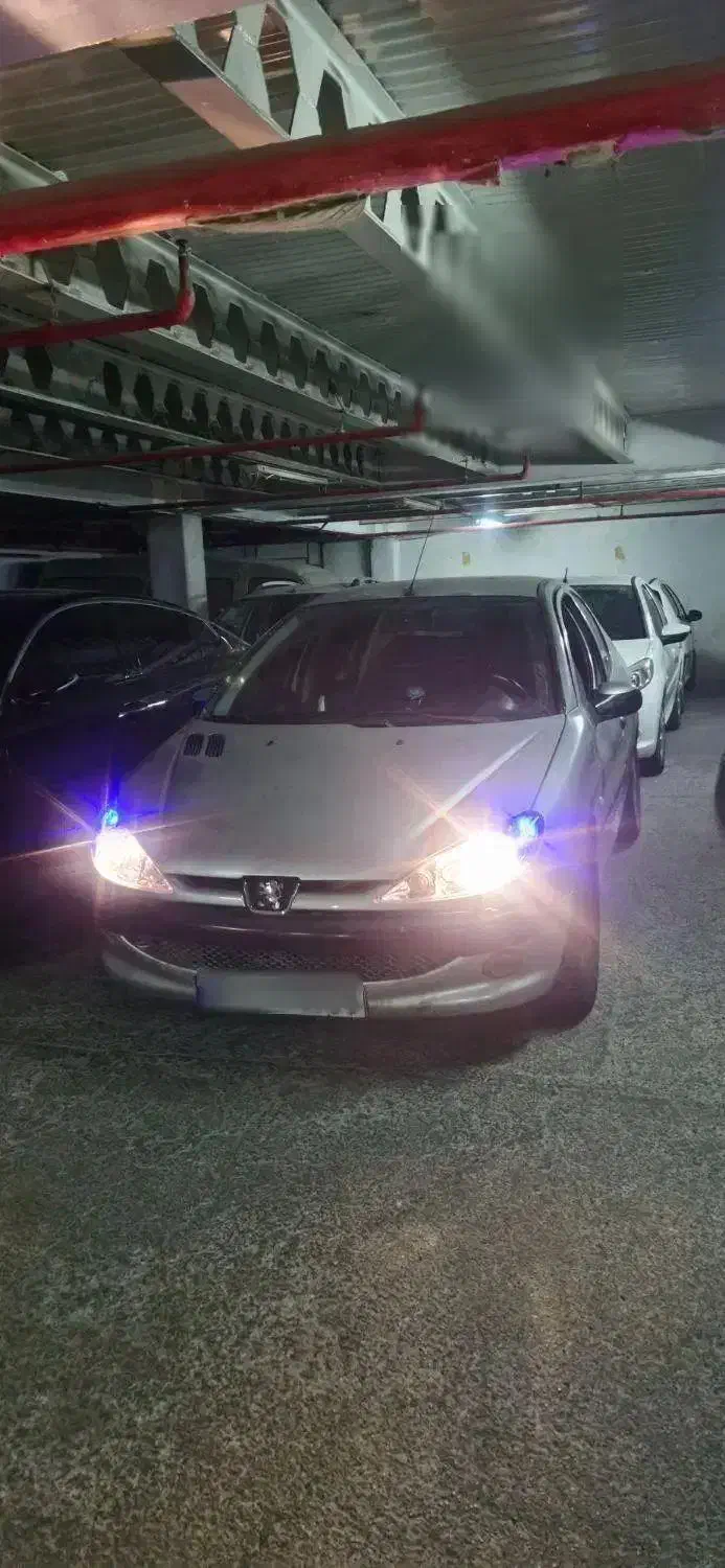 206 sd|خودرو سواری و وانت|تهران, باغ فردوس|دیوار