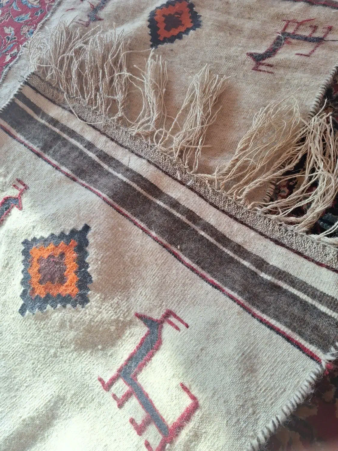 گلیم دست باف|گلیم، جاجیم، گبه|شیراز, کوشک میدان|دیوار