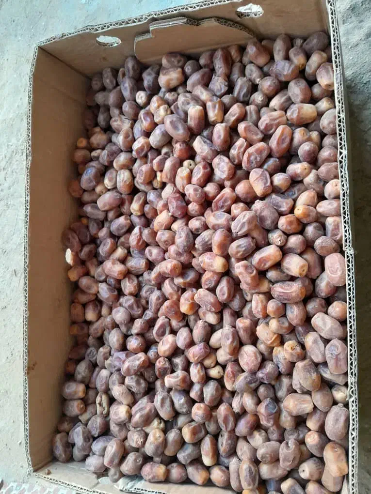 قصب|خوردنی و آشامیدنی|برازجان, |دیوار