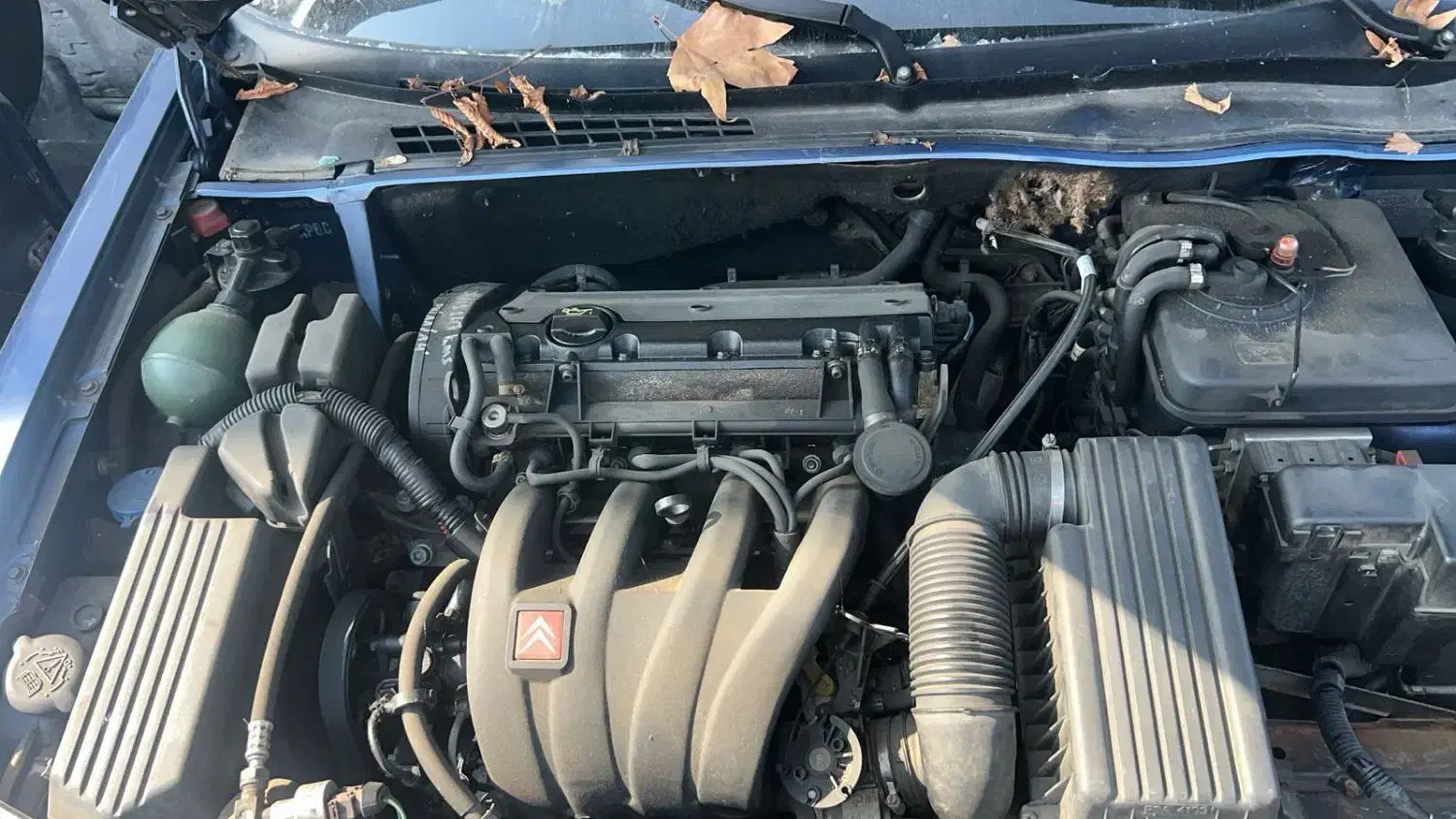 کمک زانتیا و انواع لوازم ارسال به شهرستان|قطعات یدکی و لوازم جانبی|زاهدان, |دیوار