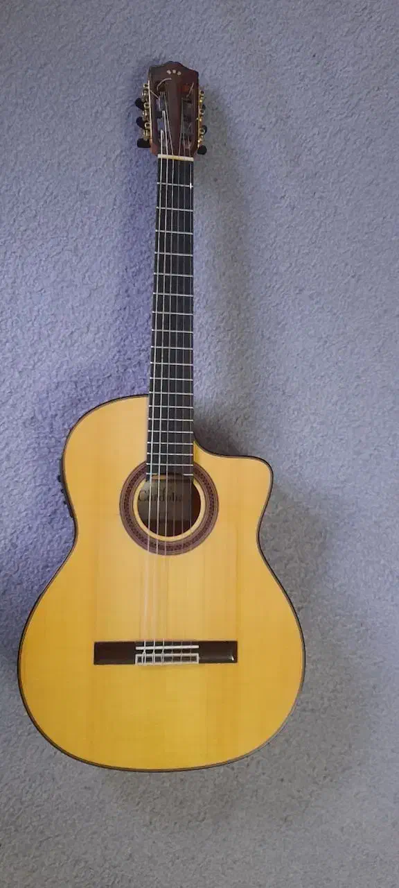 گیتار فلامنکو کوردوبا پیکاپدار|گیتار، بیس، امپلیفایر|تهران, سعادتآباد|دیوار