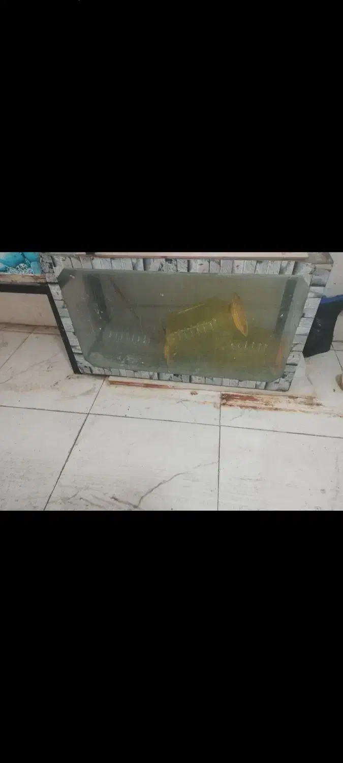 آکواریم شیشه ایی بزرگ و کوچک|ماهی|خرمآباد, |دیوار