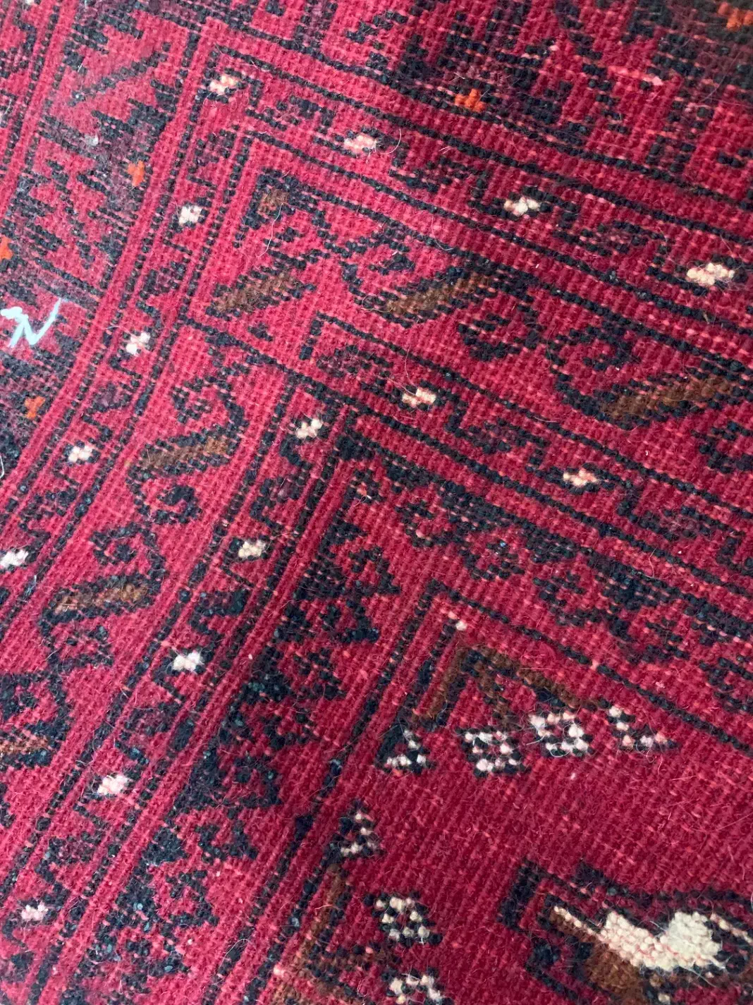 فرش دستباف ۶متری|فرش|آمل, |دیوار