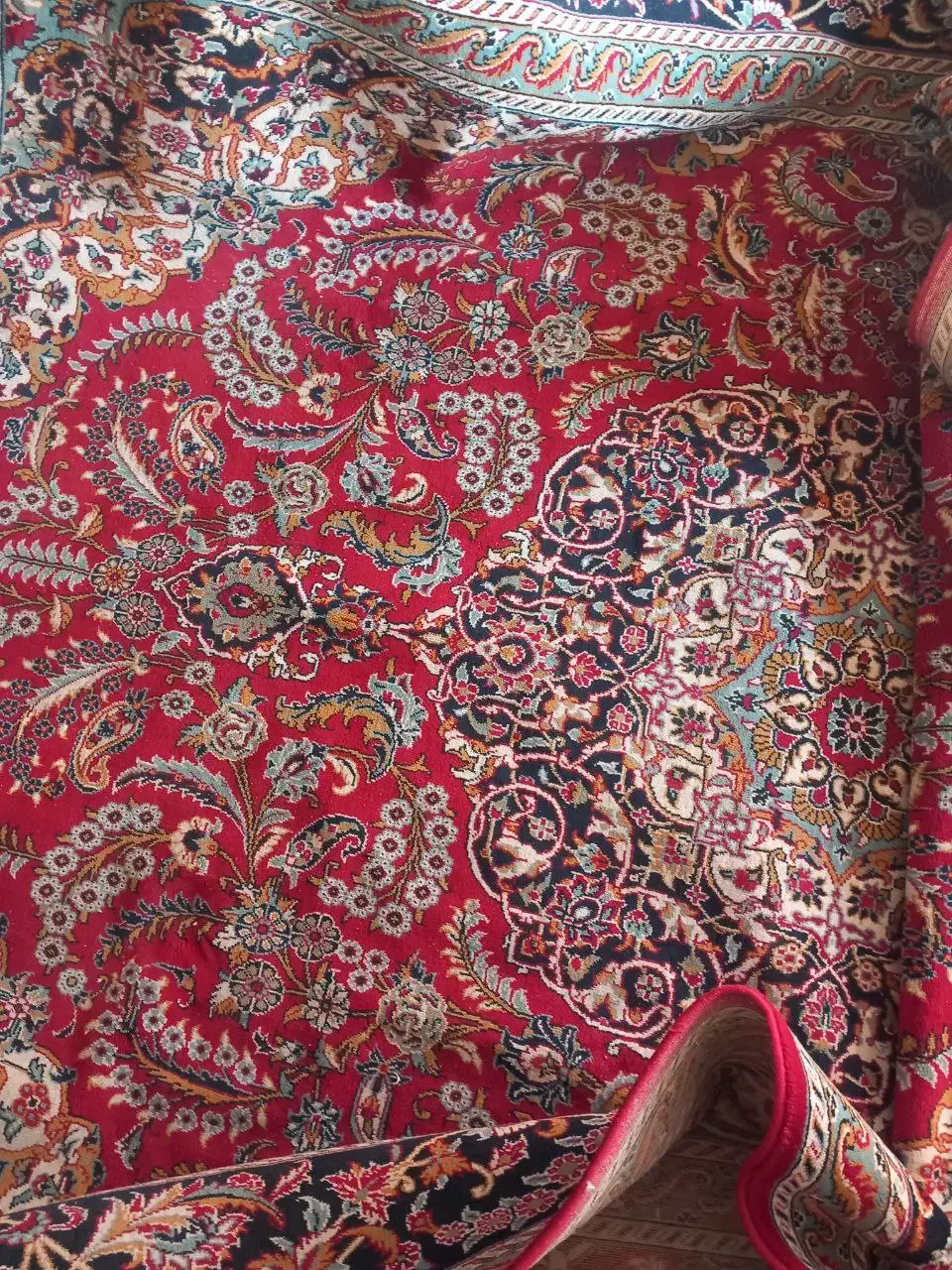 فرش ۱۲ متری پر گوشت|فرش|گلبهار, شهر جدید گلبهار|دیوار