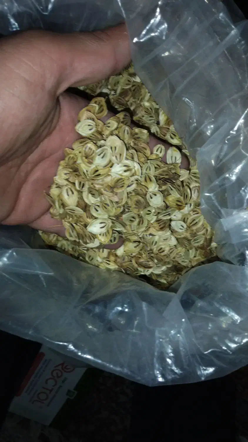 گلپر ارگانیک ییلاقی|خوردنی و آشامیدنی|رشت, حافظ آباد|دیوار