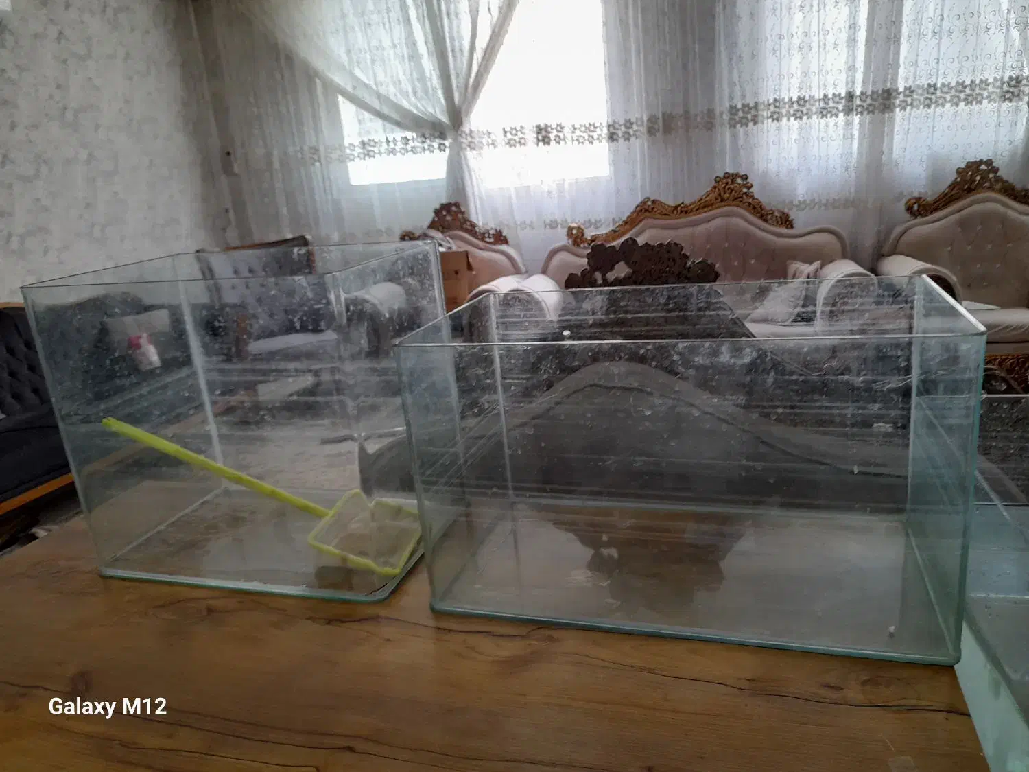 اکواریم|ماهی|مشهد, هفده شهریور|دیوار