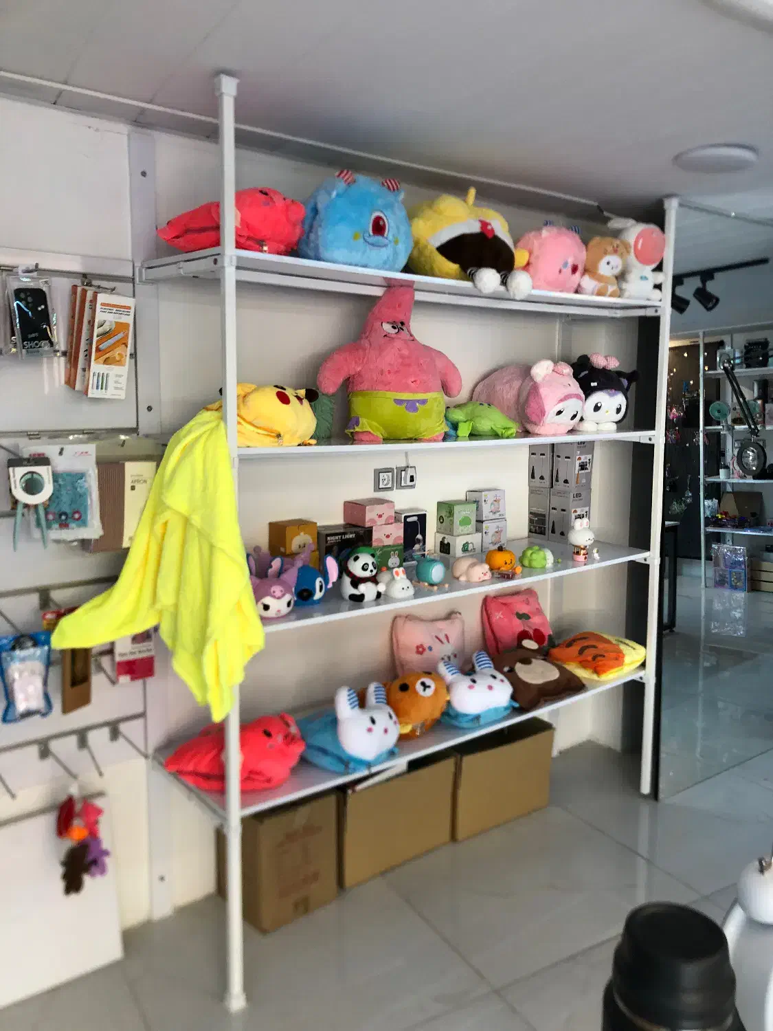 میز و کانتر و قفسه|کتابخانه، شلف، قفسه‌های دیواری|بندر ماهشهر, |دیوار