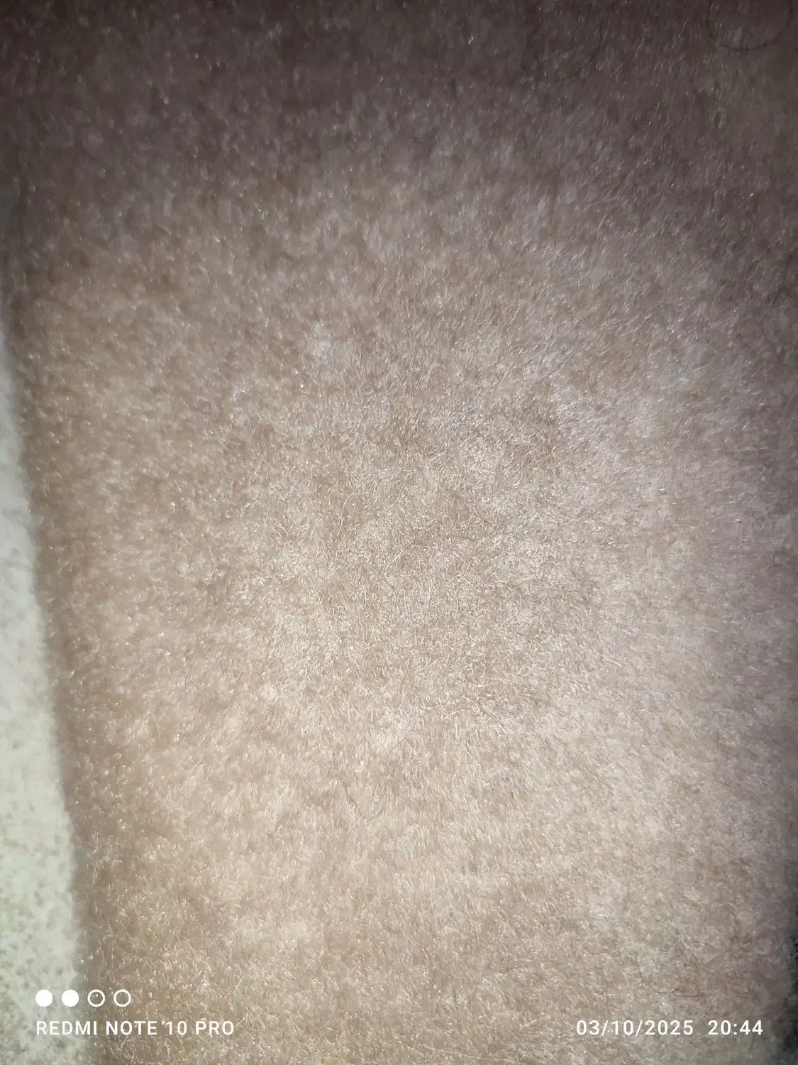 موکت در حد نو|موکت|دهگلان, |دیوار