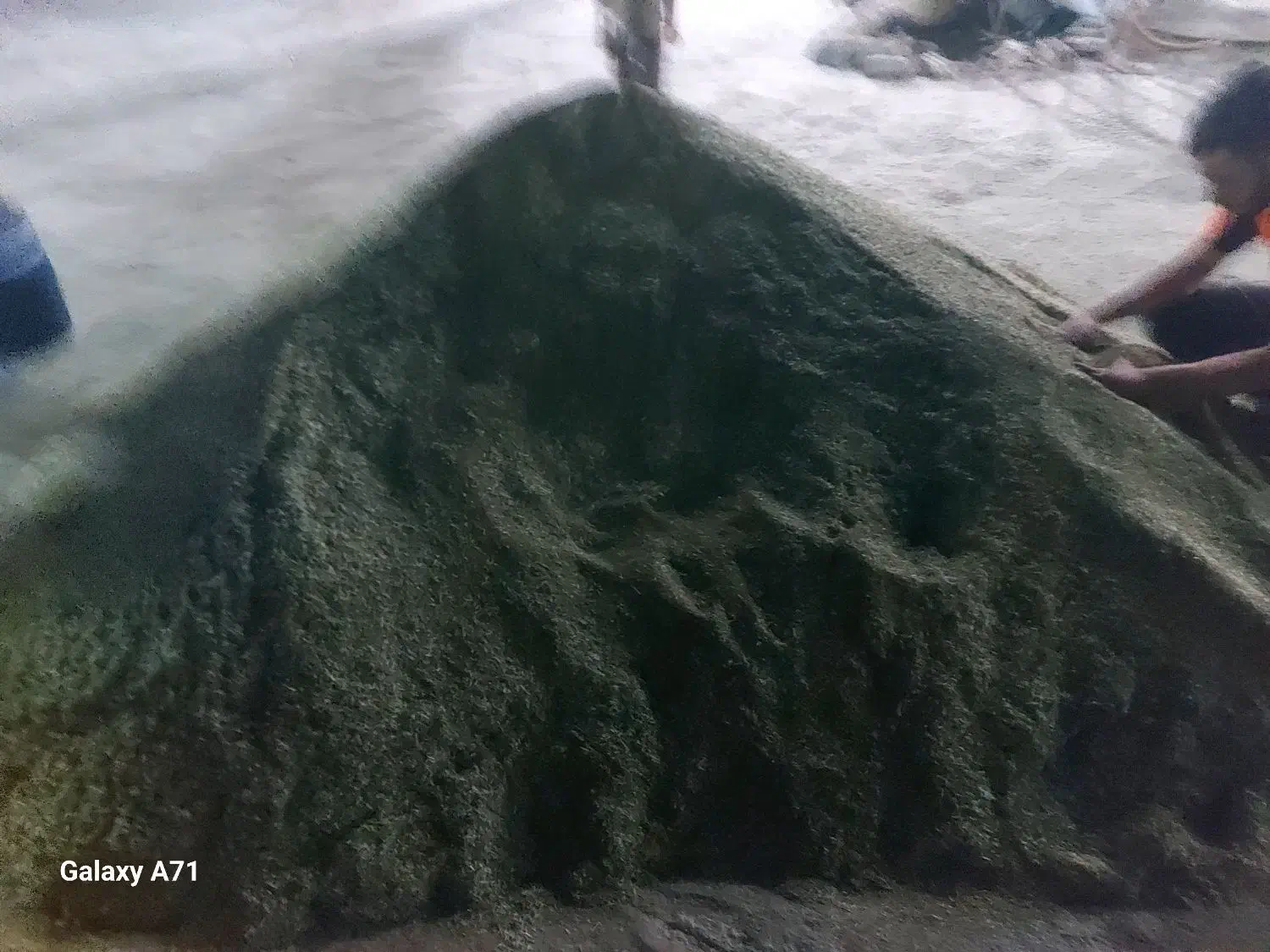 یونجه وپرس یونجه|لوازم جانبی حیوانات|بروجرد, |دیوار