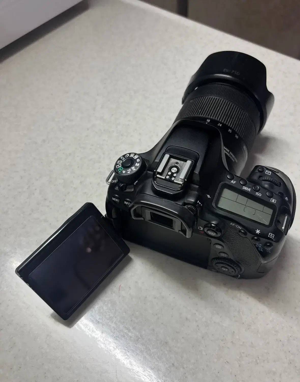 80D canon|دوربین عکاسی و فیلم‌برداری|تهران, دردشت|دیوار