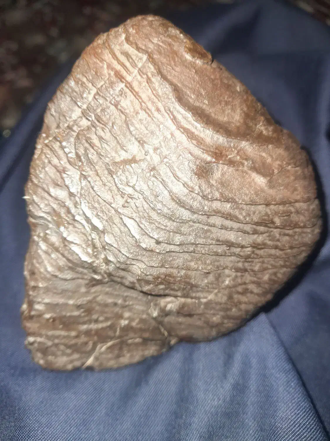 شهاب  از کویر|بدلیجات|زاهدان, |دیوار