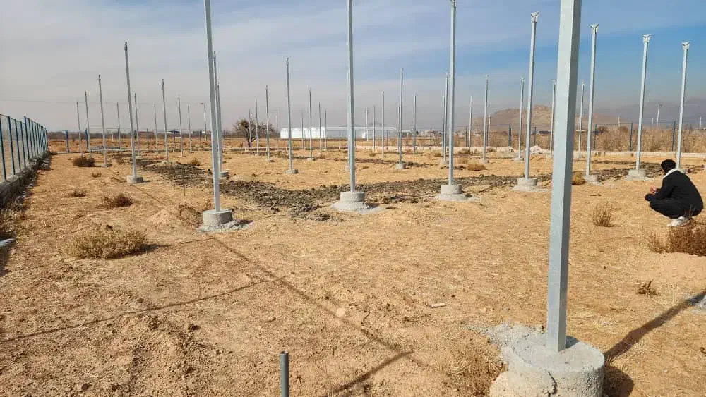 گلخانه مکانیزه و صنعتی|فروش دفتر صنعتی، کشاورزی، تجاری|تیران, |دیوار