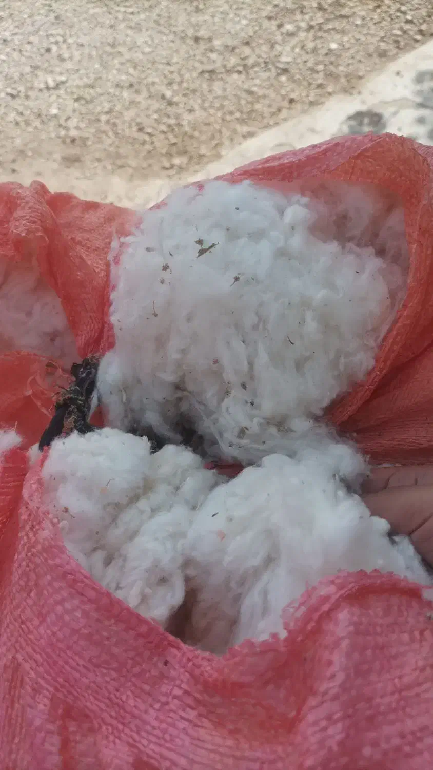 پنبه|تشک تختخواب|داراب, |دیوار