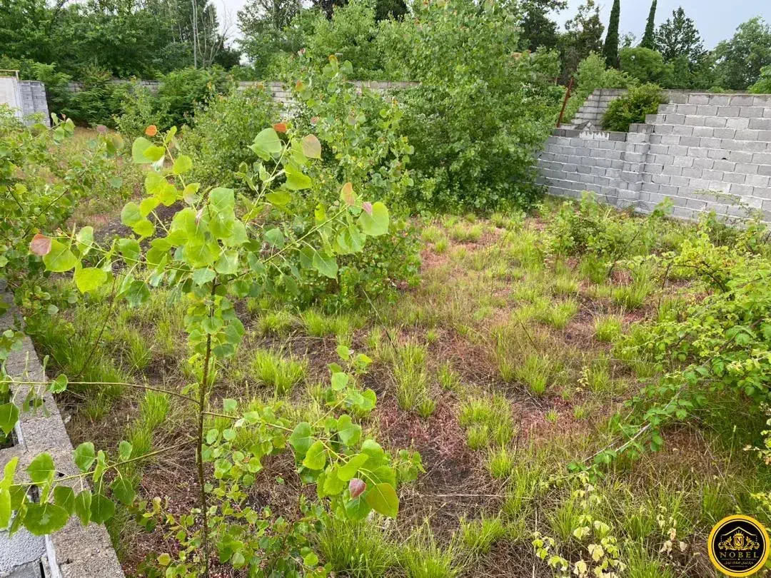 ۶۰۰ متر زمین مسکونی دو بر سند تک برگ|فروش زمین و ملک کلنگی|رشت, پسیخان|دیوار