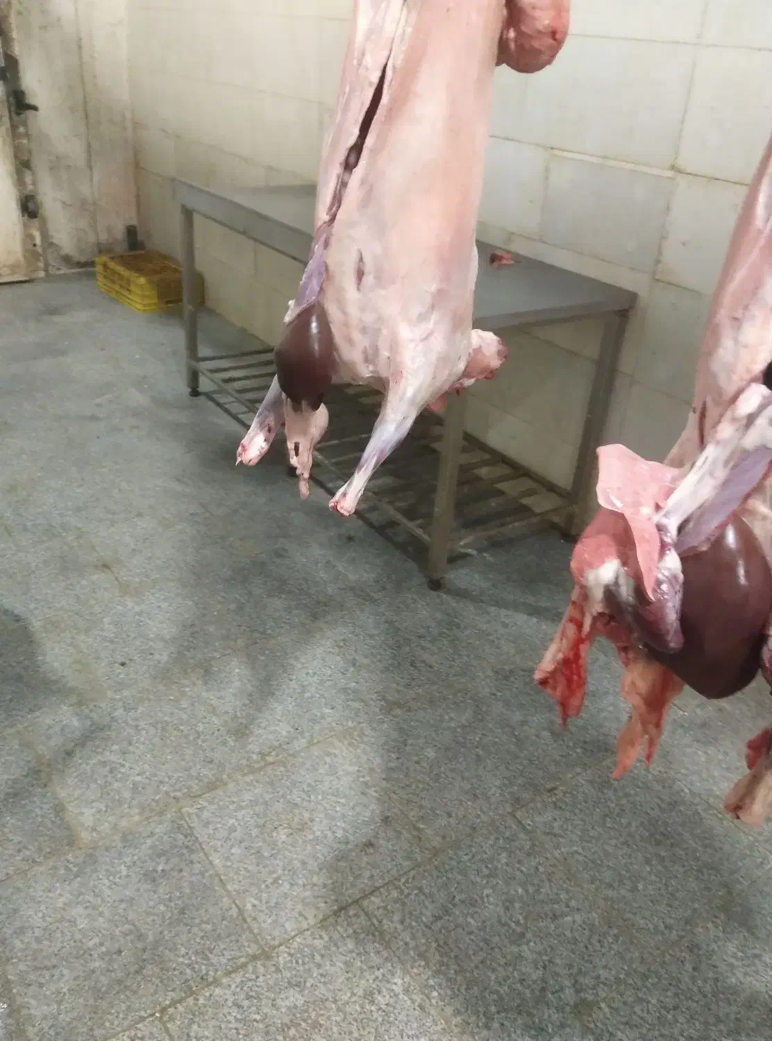 جیگر ،دنبه،کله پاچه.والایشات گوسفند وگاو|خوردنی و آشامیدنی|گالیکش, |دیوار