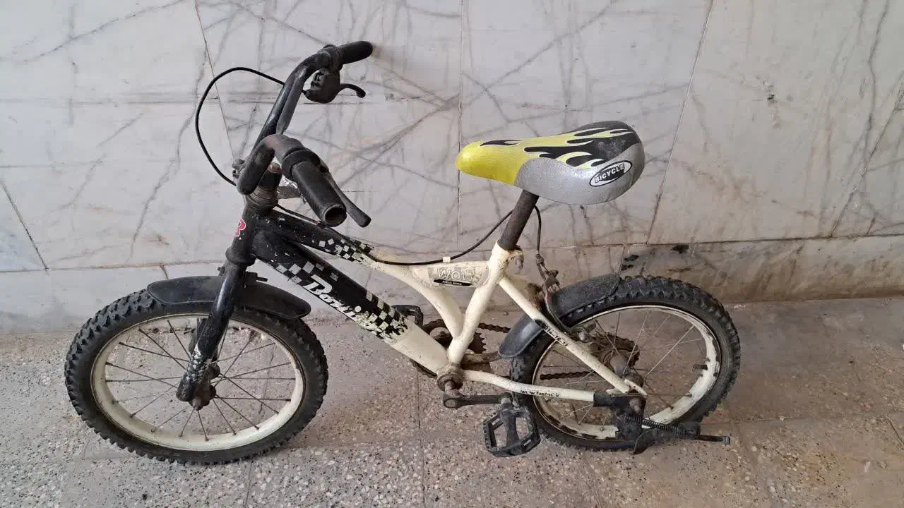 لوازم خانه.فرش و دوچرخه و کولر|فرش|مشهد, کوشش|دیوار