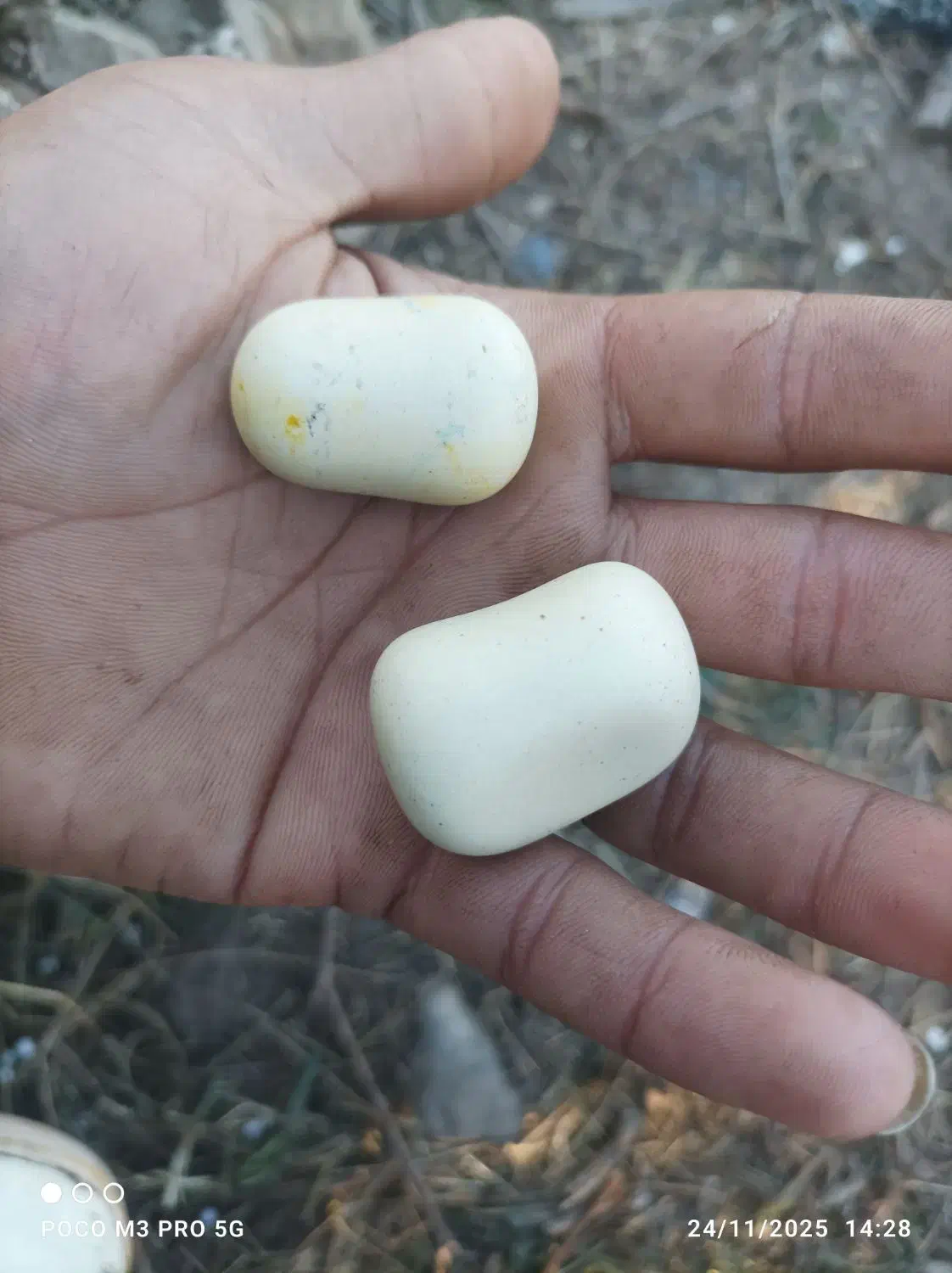 یک جفت سنگ اسیاب|کلکسیون اشیاء عتیقه|خان ببین, |دیوار