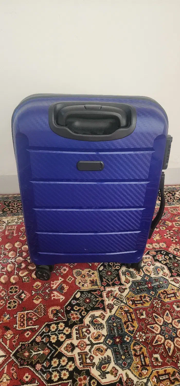 چمدان مسافرتی|کیف، کفش، کمربند|اصفهان, بهار آزادی|دیوار