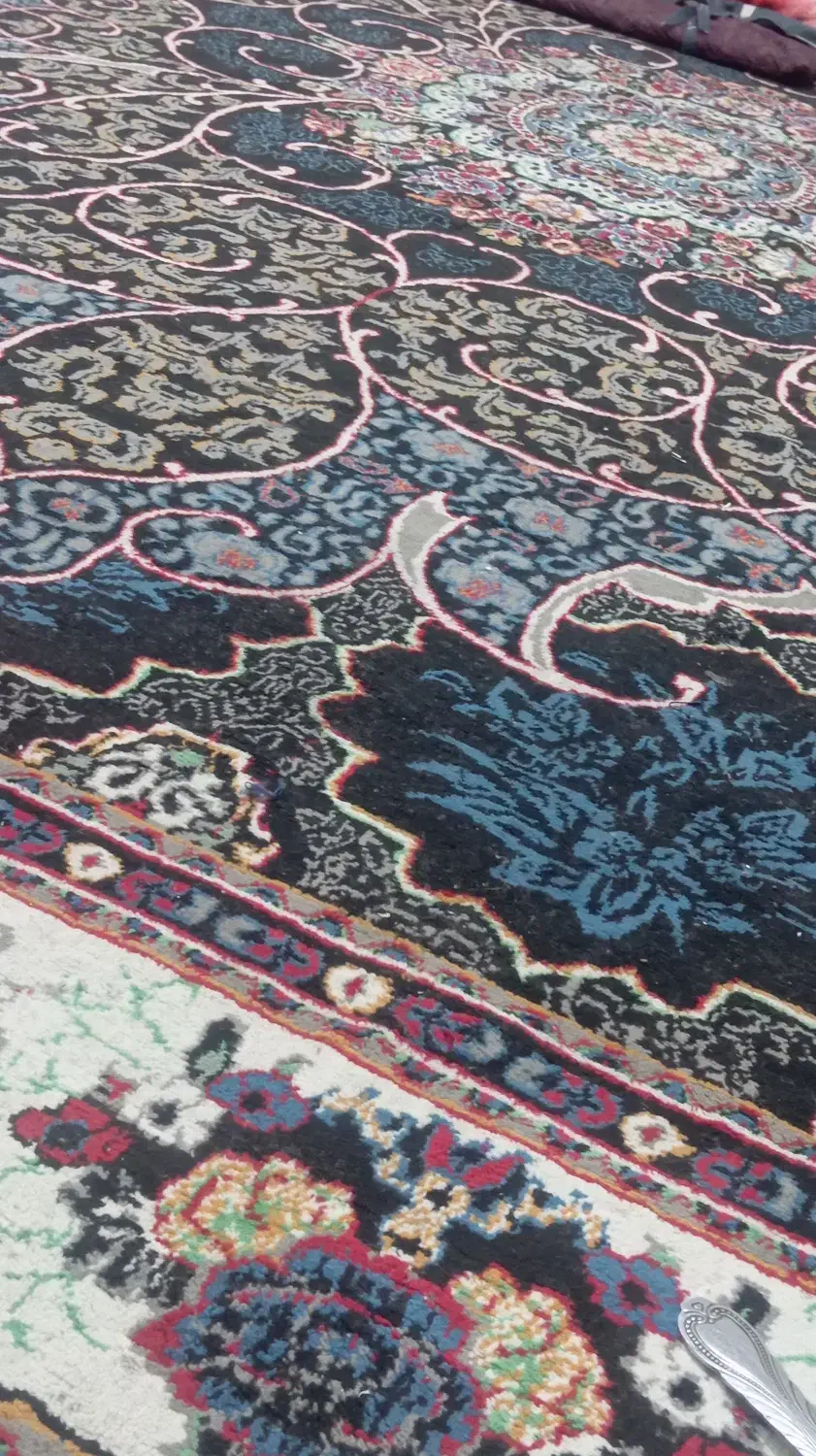 فرش|فرش|بندرعباس, |دیوار