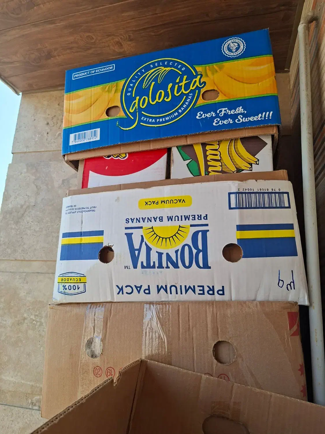 جعبه خالی موز|ظروف نگهدارنده، پلاستیکی، یک‌بارمصرف|ساری, |دیوار