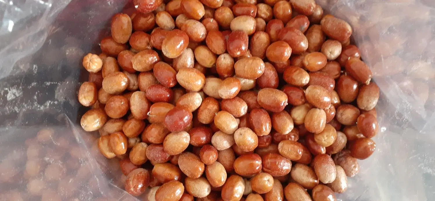 سنجد|خوردنی و آشامیدنی|مرند, |دیوار
