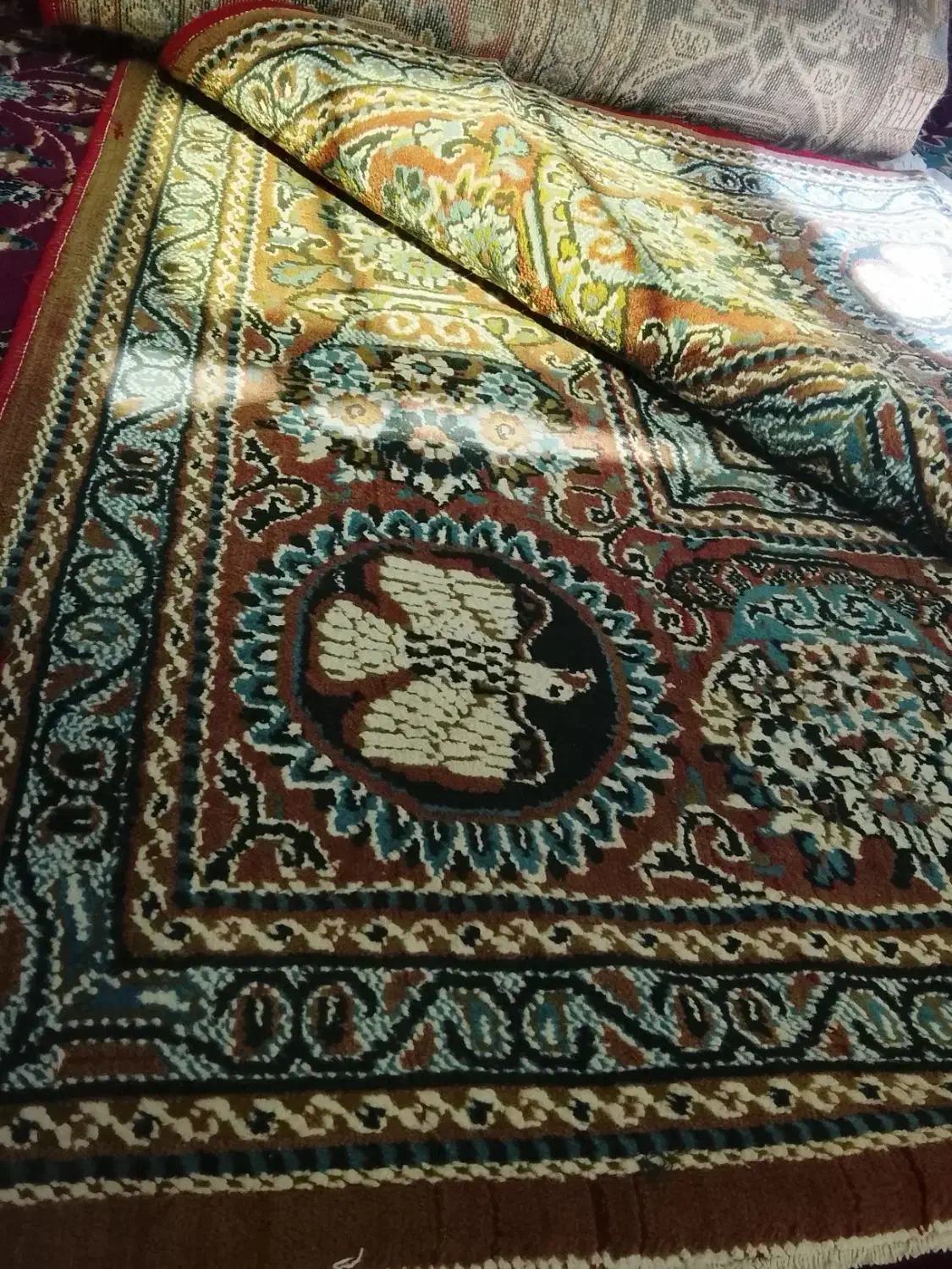 فرش 12متری|فرش|تربت جام, جامی|دیوار