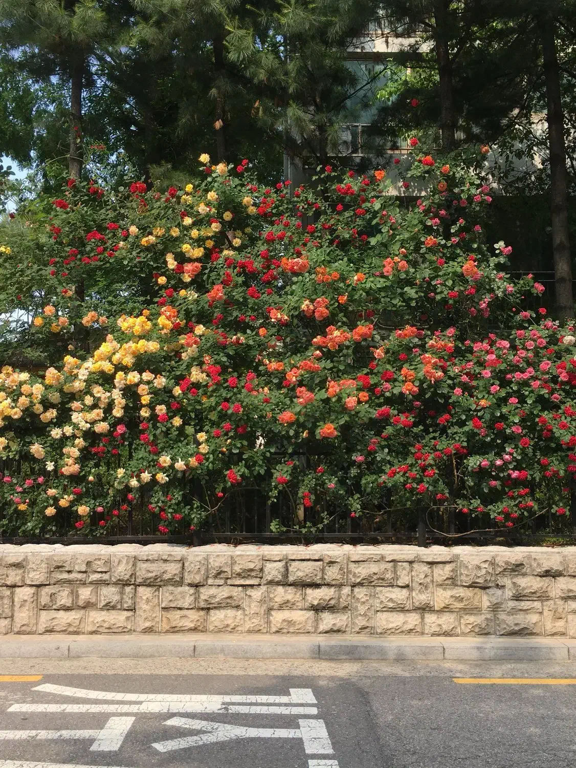 پیشنهاد یا راهنمایی در مورد کار|فعالیت داوطلبانه تحقیقاتی|بندر گناوه, |دیوار