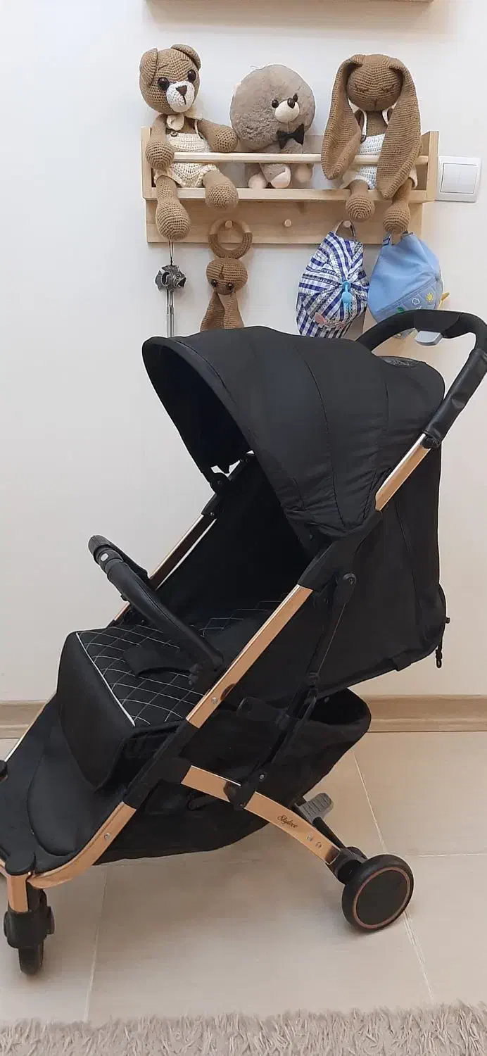 کالسکه|کالسکه و لوازم جانبی|هشتگرد, فاز ۱ مهستان|دیوار