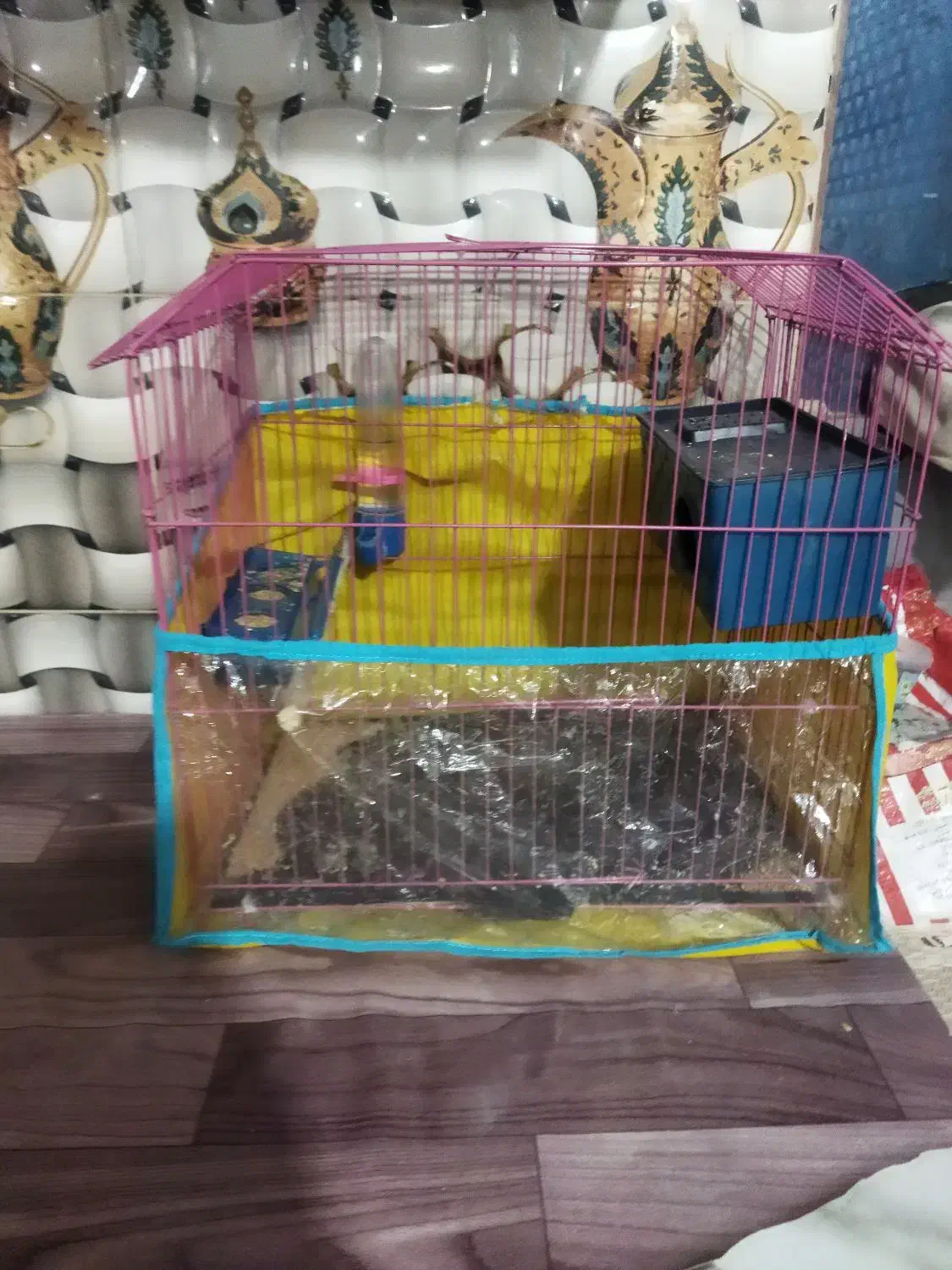 مرغ عشق|پرنده|خاش, |دیوار