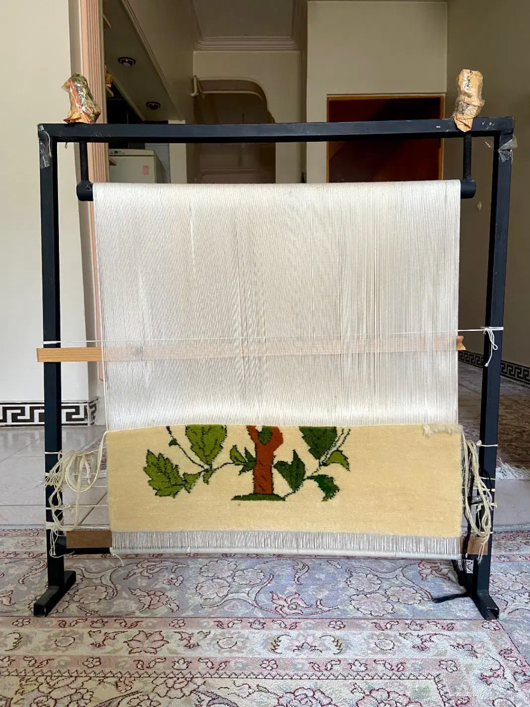 دارقالی|گلیم، جاجیم، گبه|قائم‌شهر, |دیوار