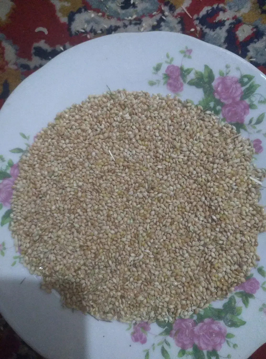 ارزن ایرانی|عمده‌فروشی|قنوات, |دیوار