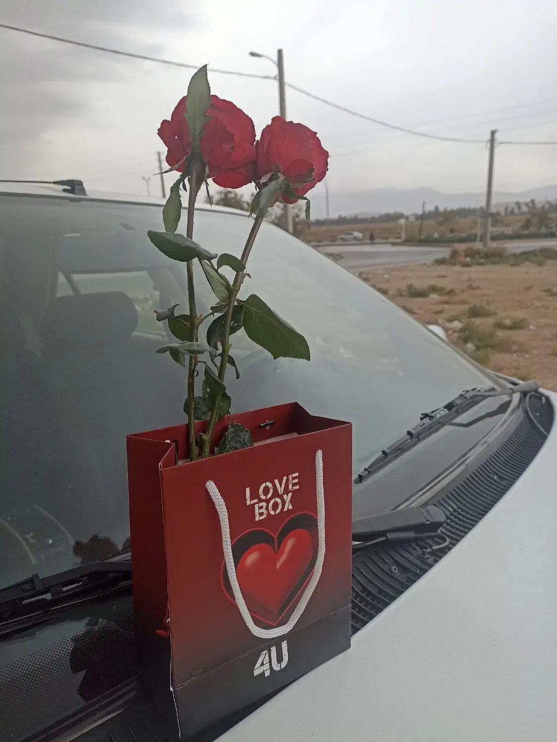 کارت ماشین گم شده|اشیا|شیراز, کوشک میدان|دیوار