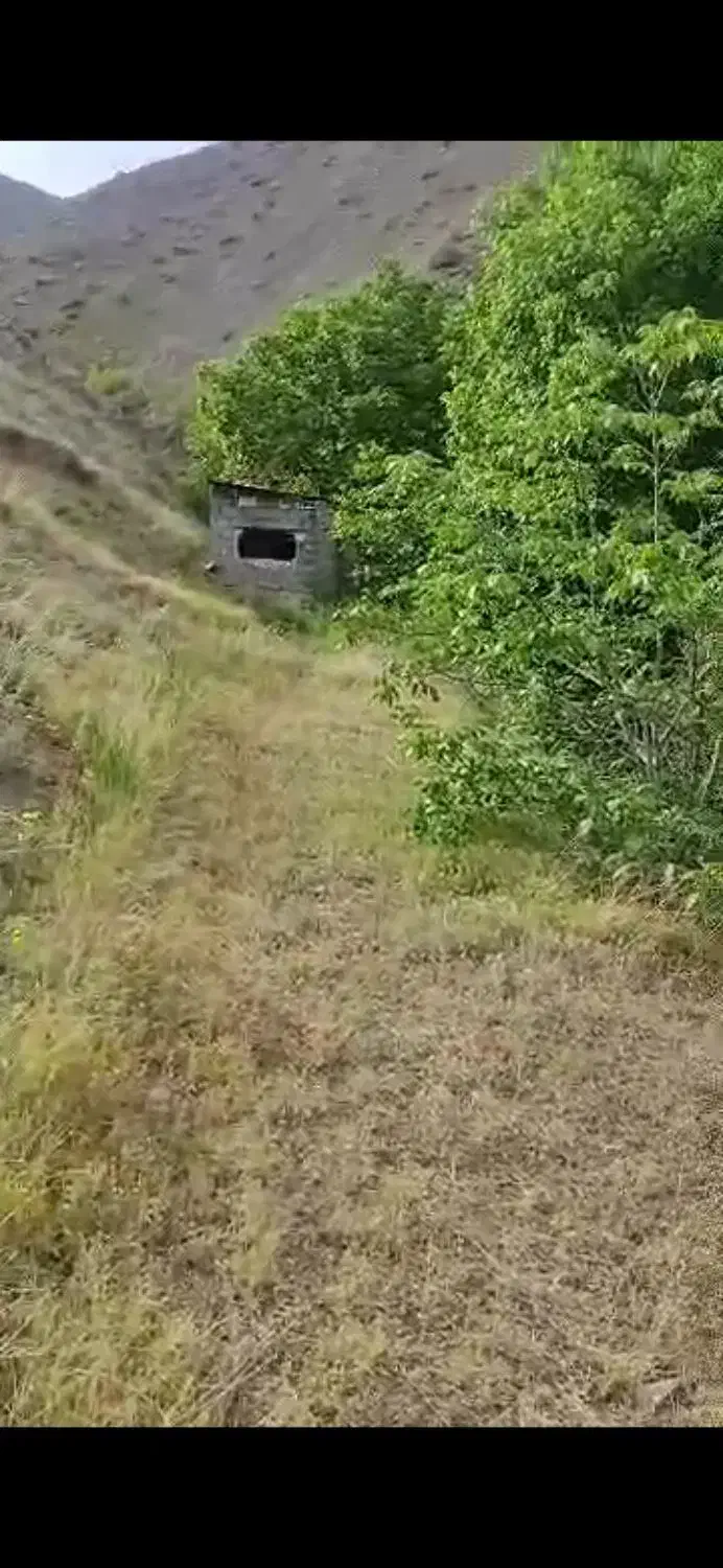 باغ و باغچه|فروش زمین و ملک کلنگی|آسارا, |دیوار