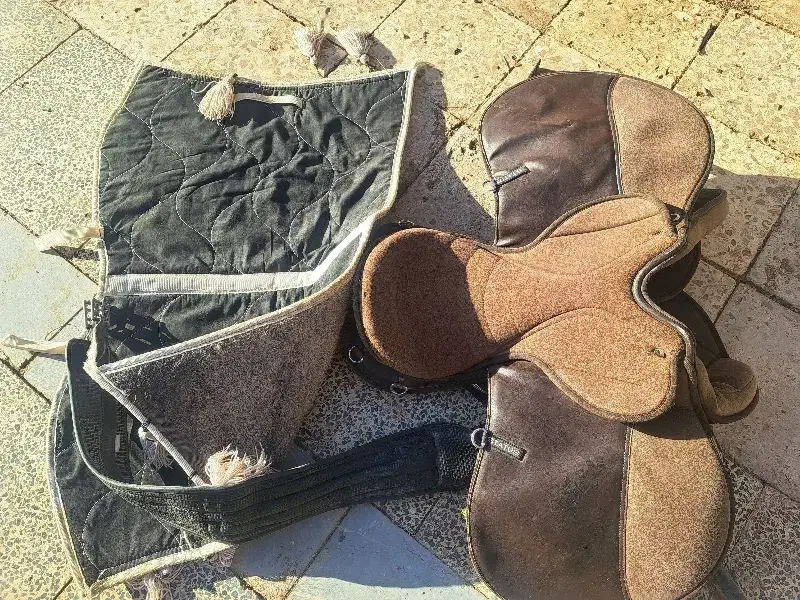 زین اسب|اسب و تجهیزات اسب‌سواری|کرمان, |دیوار