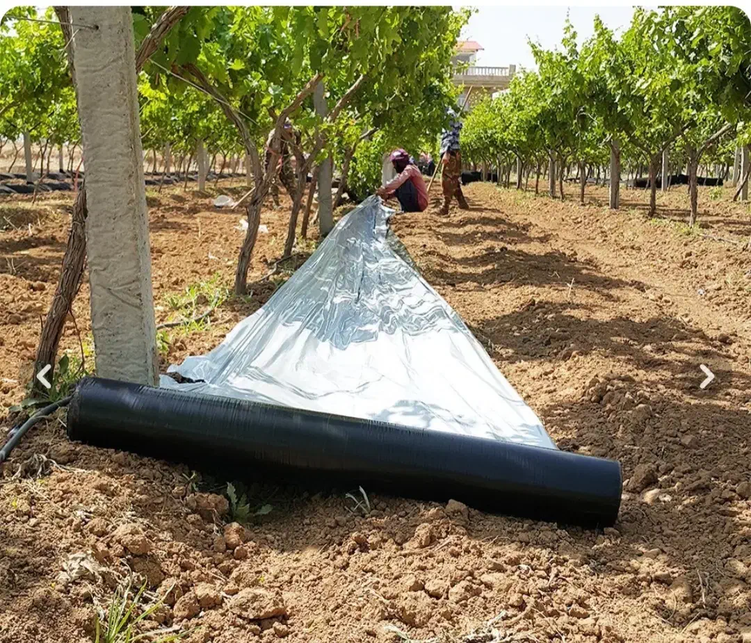 روزمینی مالچ جهت کشت و درختان پسته|خدمات باغبانی و درختکاری|سبزوار, هویزه|دیوار