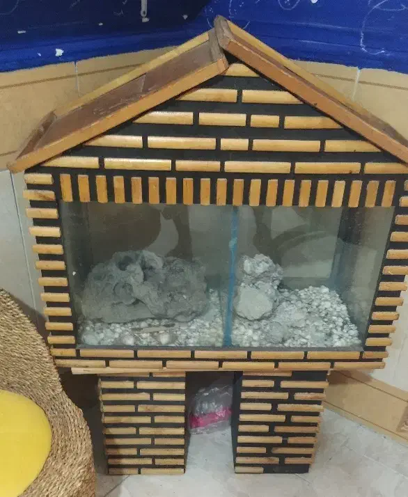 اکواریوم بهمراه کمد|ماهی|زابل, |دیوار