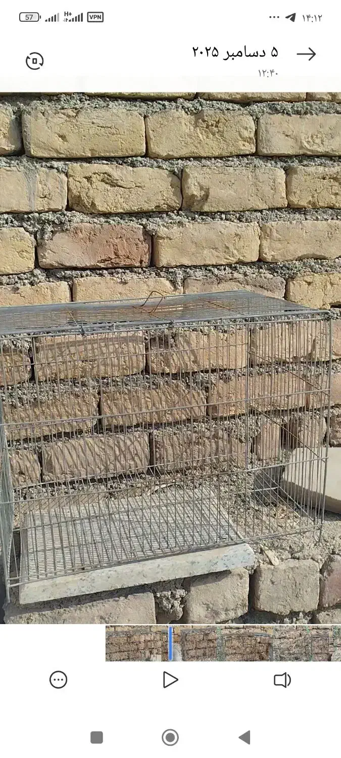 ۴ عدد قفس پرنده|لوازم جانبی حیوانات|ساوه, |دیوار