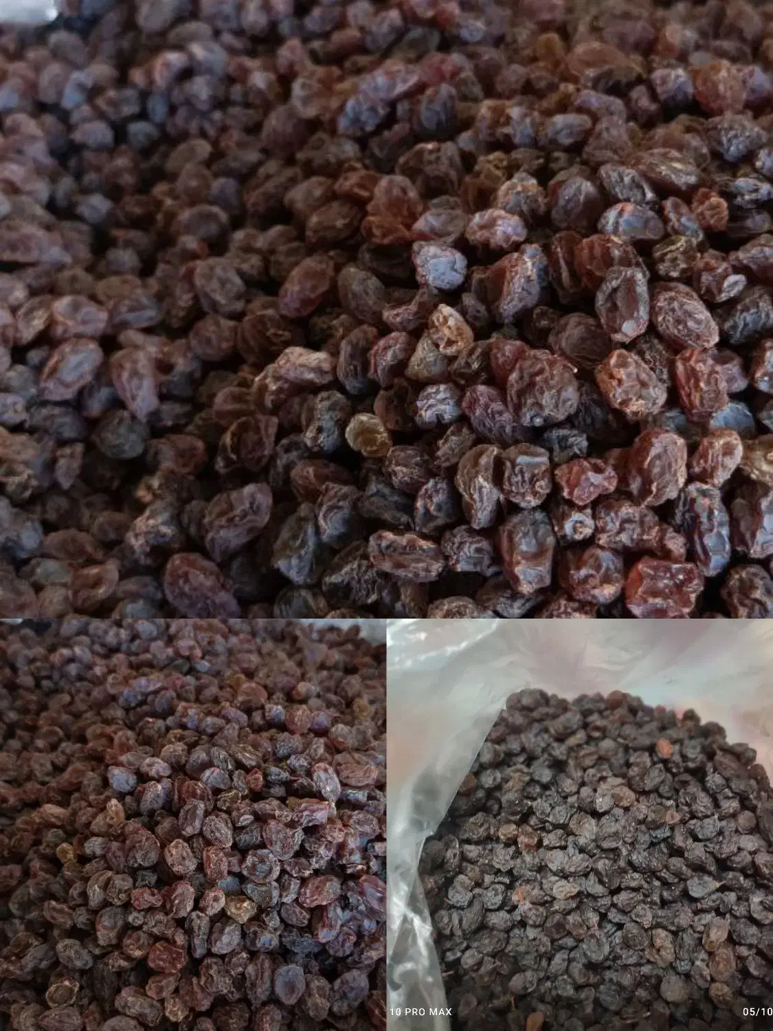 کشمش ارگانیک|خوردنی و آشامیدنی|قزوین, |دیوار