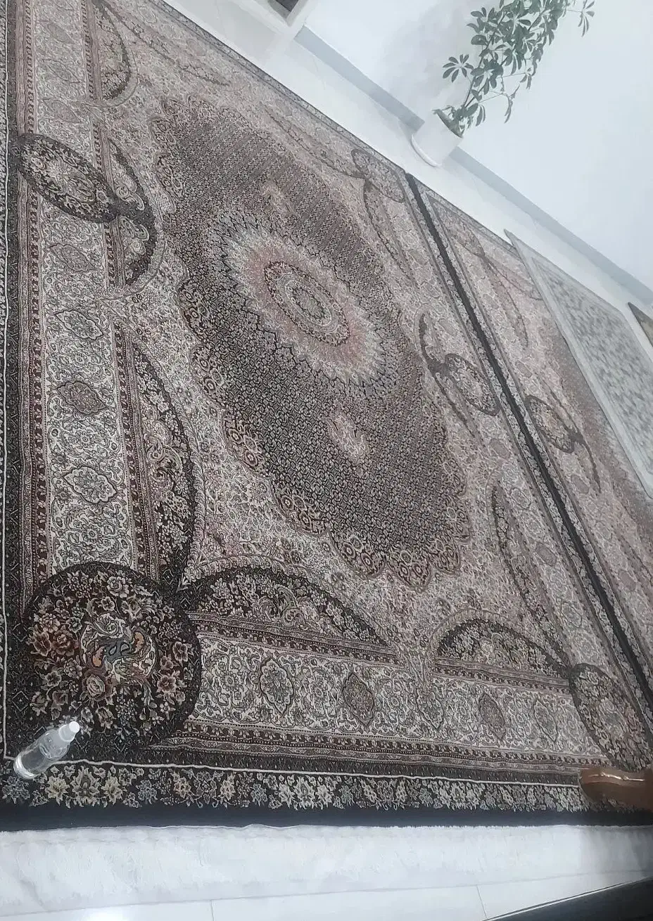 فرش ۶ متری|فرش|کوهدشت, |دیوار